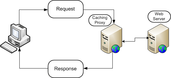 Web cache