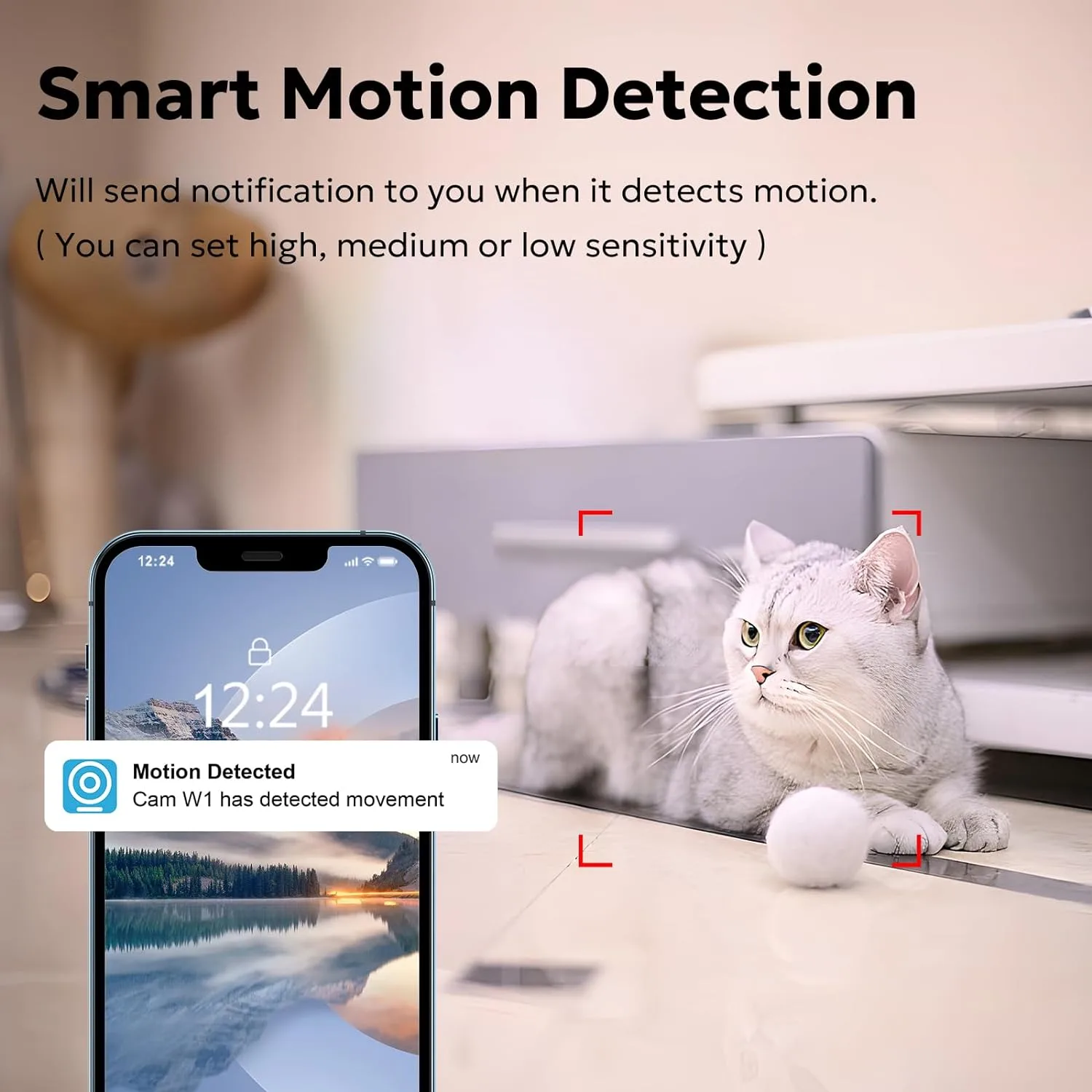 Owltron's Smart Motion Detection