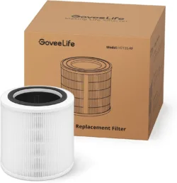 GoveeLife filter