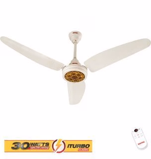Passion flora Royal fan